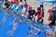 六爻详解2025年全国水生生物同步增殖放流活动在福建举行