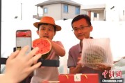 六爻详解（乡村行·看振兴）江西安福“小西瓜”撬动乡村共富“大支点”