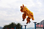 六爻详解（文化中国行）壮乡狮舞闯南洋：脚踏“云桩” 饮誉海内外